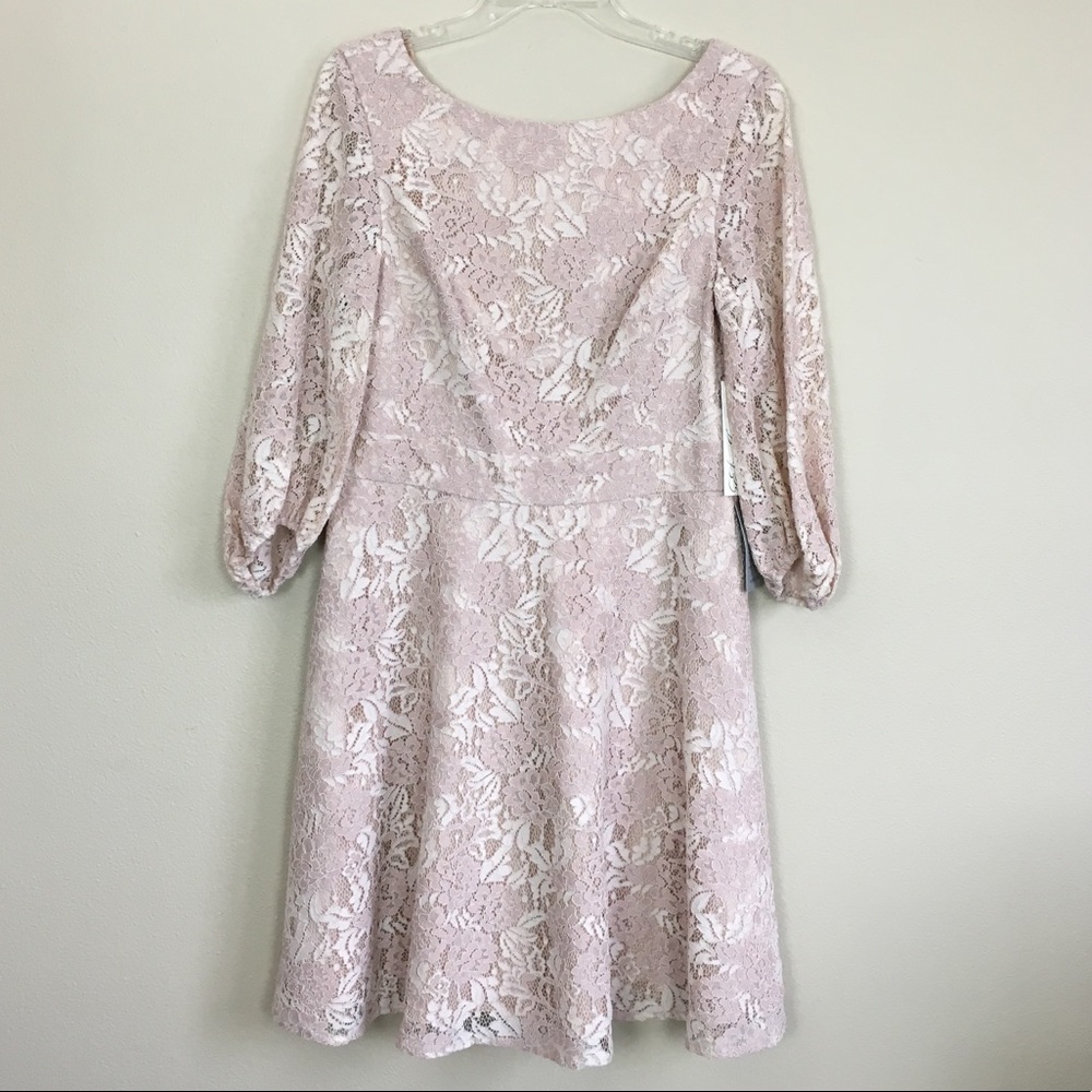 Eliza J Pink Lace Fit and Flare Dress 12